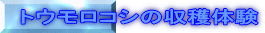 gERV̎ň